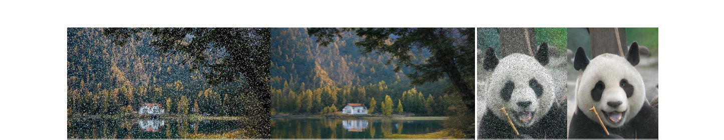 Salt & Pepper noise removal