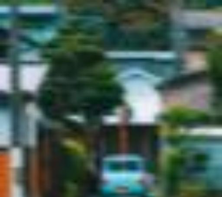 Real degraded input for the street scene