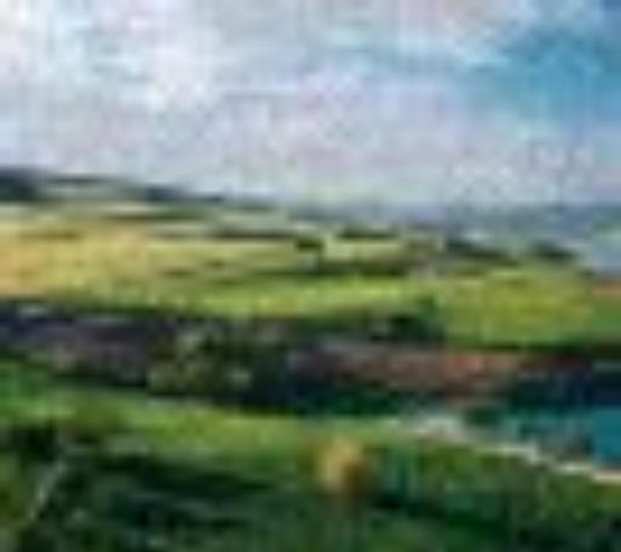 Real degraded input for the landscape